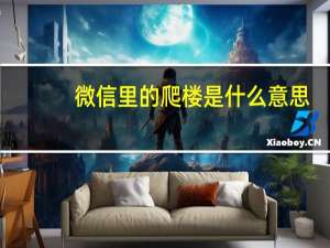 微信里的爬楼是什么意思