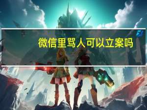 微信里骂人可以立案吗