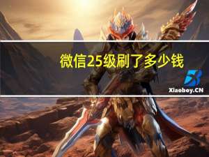微信25级刷了多少钱（微信2.5）