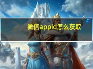 微信appid怎么获取