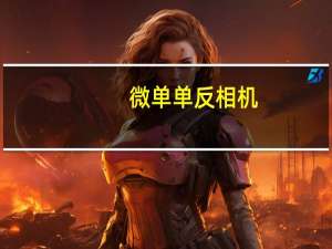 微单单反相机（微单单反）