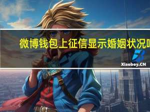 微博钱包上征信显示婚姻状况吗（微博钱包上征信吗）