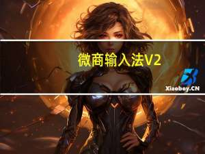 微商输入法 V2.5.24 最新PC版（微商输入法 V2.5.24 最新PC版功能简介）