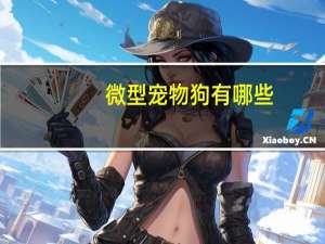 微型宠物狗有哪些