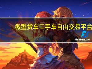微型货车二手车自由交易平台（微型货车二手车）
