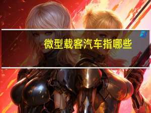微型载客汽车指哪些