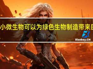 微小微生物可以为绿色生物制造带来巨大好处
