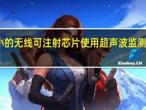 微小的无线可注射芯片使用超声波监测身体过程