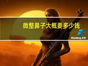 微整鼻子大概要多少钱？请问现在埋线大概多少钱，能保持多久呢