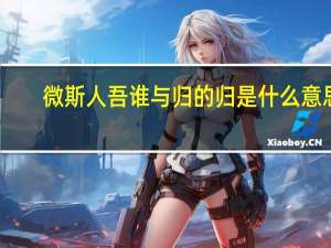 微斯人吾谁与归的归是什么意思
