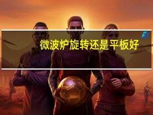 微波炉旋转还是平板好