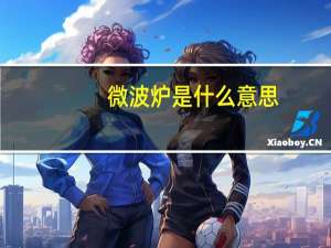 微波炉是什么意思