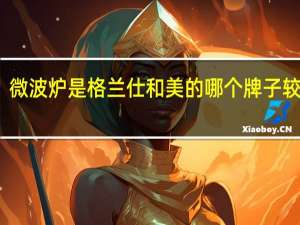 微波炉是格兰仕和美的哪个牌子较好些