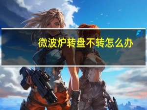 微波炉转盘不转怎么办