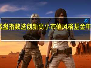 微盘指数迭创新高小市值风格基金年内走红