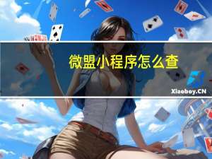 微盟小程序怎么查