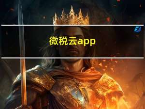微税云app（微税平台金税盘版）
