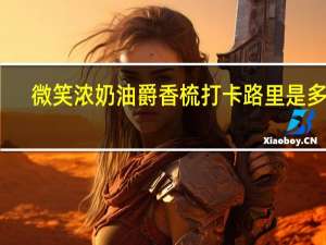 微笑 浓奶油爵香梳打卡路里是多少