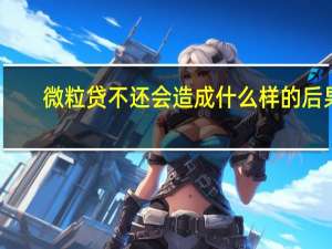 微粒贷不还会造成什么样的后果