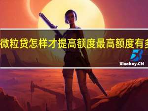 微粒贷怎样才提高额度 最高额度有多少万