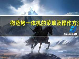 微蒸烤一体机的菜单及操作方法（微蒸烤一体机的优缺点）