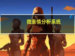 微表情分析系统（微表情分析法）