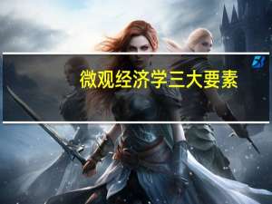 微观经济学三大要素