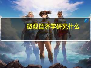 微观经济学研究什么
