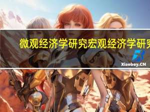 微观经济学研究宏观经济学研究（做为经济学的一个分支 微观经济学主要研究什么）