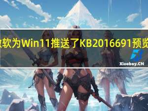 微软为Win11推送了KB2016691预览版更新