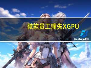 微软员工痛失XGPU