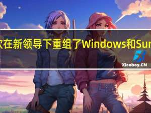 微软在新领导下重组了Windows和Surface团队