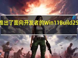 微软日前推出了面向开发者的Win11Build25179测试版系统