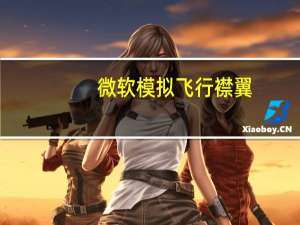 微软模拟飞行 襟翼（微软模拟飞行10光荣之翼）