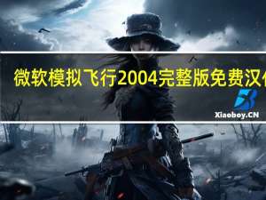 微软模拟飞行2004完整版 免费汉化版（微软模拟飞行2004完整版 免费汉化版功能简介）