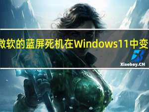 微软的蓝屏死机在Windows11中变为黑色