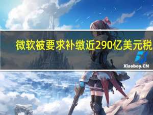 微软被要求补缴近290亿美元税款