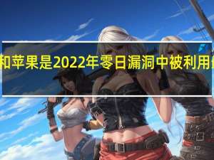 微软谷歌和苹果是2022年零日漏洞中被利用最多的漏洞之一