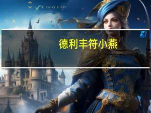 德利丰符小燕：安于一隅不如选择德利丰家居志在四方