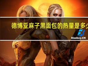 德博 亚麻子黑面包的热量是多少