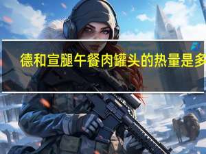 德和 宣腿午餐肉罐头的热量是多少