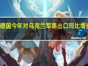 德国今年对乌克兰军事出口同比增长四倍