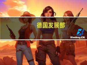 德国发展部：承诺向西非国家经济共同体提供8100万欧元的全面支持用于和平建设和经济发展