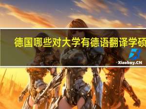 德国哪些对大学有德语翻译学硕士