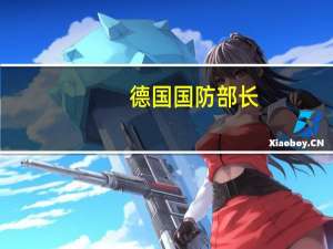 德国国防部长：欧盟无法兑现部分向乌供武承诺