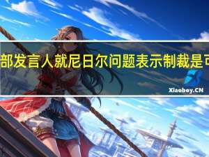 德国外交部发言人就尼日尔问题表示制裁是可能的回应选项
