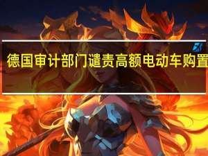 德国审计部门谴责高额电动车购置补贴