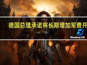 德国总理承诺将长期增加军费开支