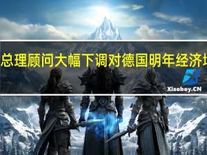 德国总理顾问大幅下调对德国明年经济增速的预测