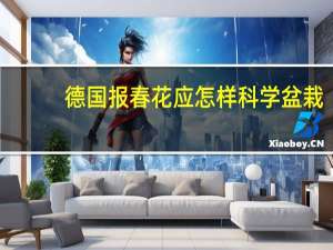 德国报春花应怎样科学盆栽